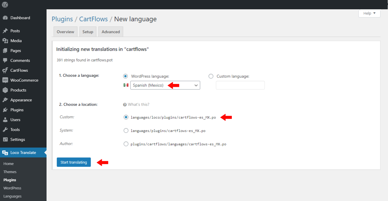 Cf Loco Translate Settings 1