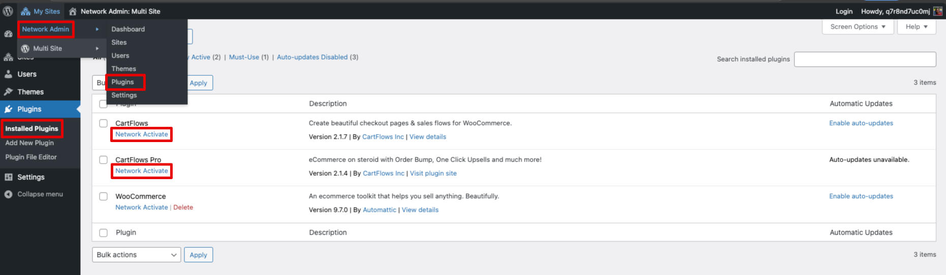 How to Activate the CartFlows Pro License on a WordPress Multisite CartFlows Network Activate