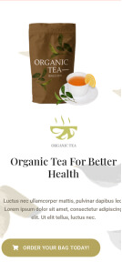 cartflows-template-mobile-2