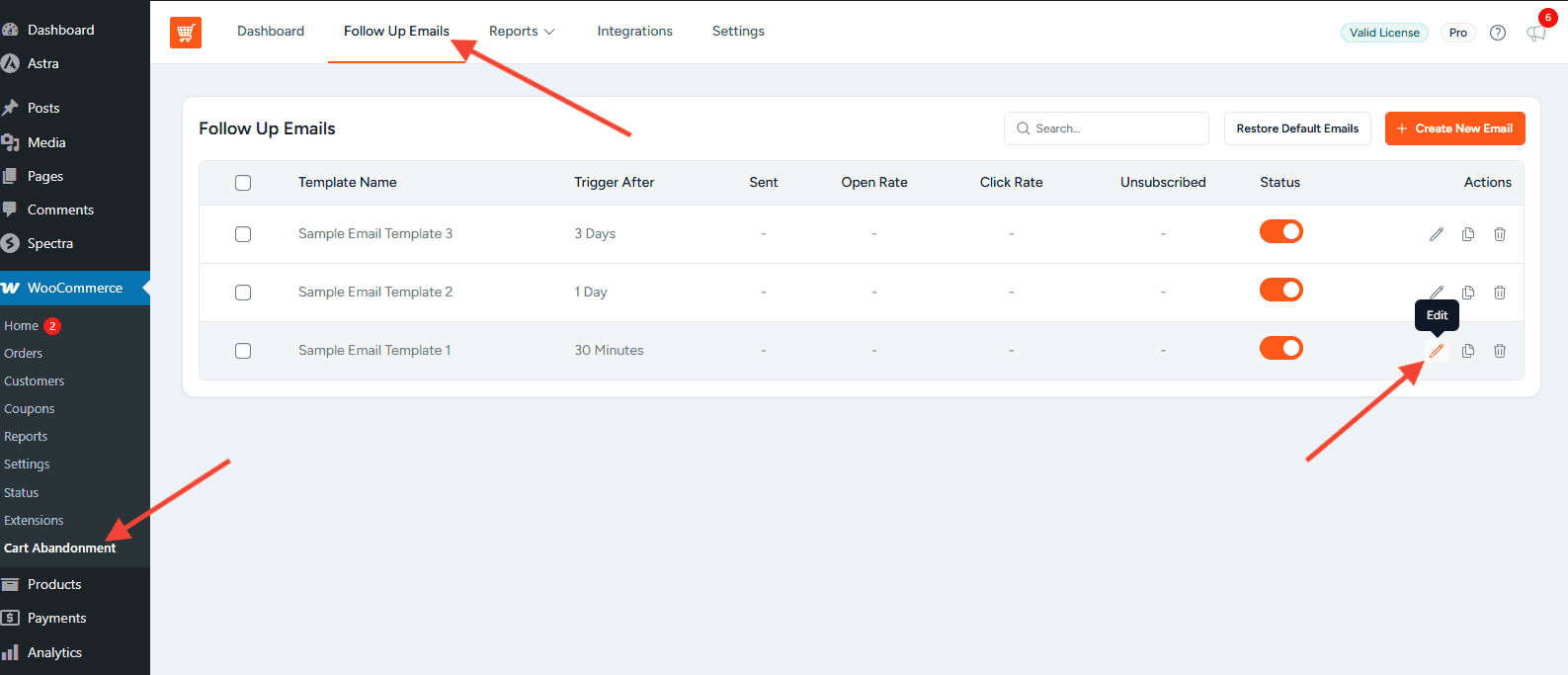 Edit Follow Up Email Template